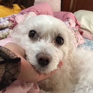 Meet your Posher, Justina